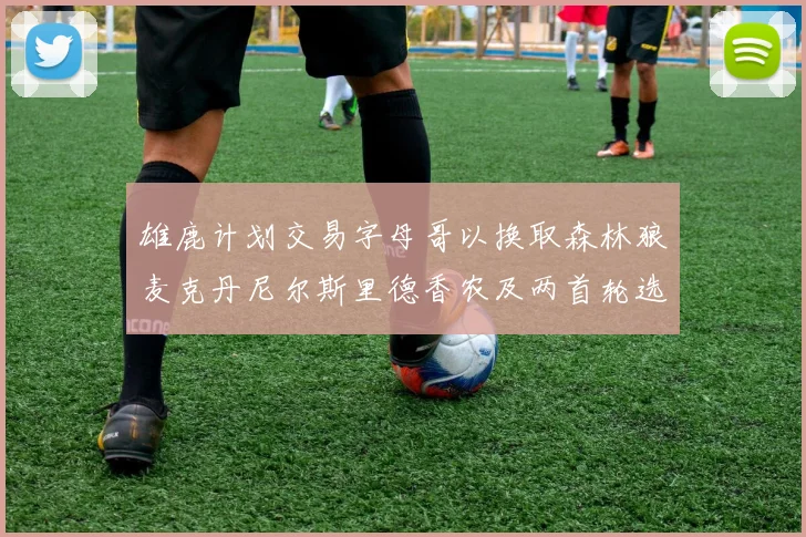 雄鹿计划交易字母哥以换取森林狼麦克丹尼尔斯里德香农及两首轮选秀权